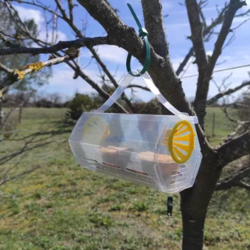 Piège VespiGuard V2