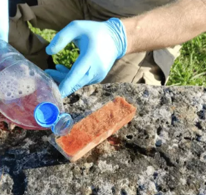 Piège VespiGuard V2 – Image 5